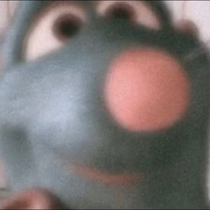 Meet your Posher, Sophh